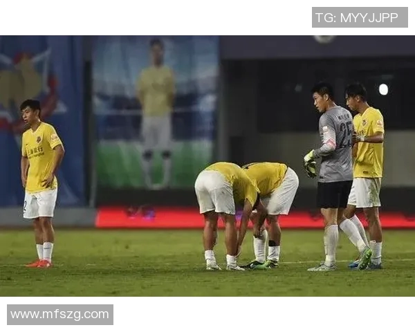 2015年恒大与申鑫激战回顾：足球场上的荣耀与拼搏精神