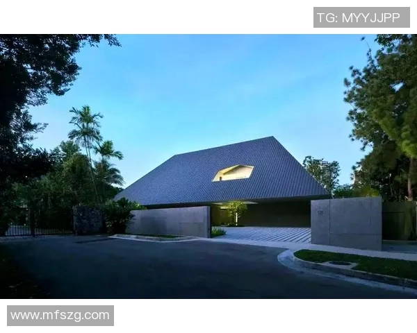 探索弗格的魅力与影响力揭示其在当代文化中的独特地位与价值