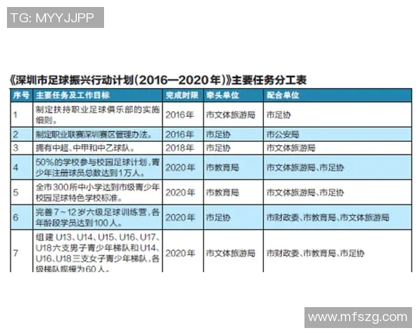深圳排球队运营革新探索:从管理模式到市场推广的全方位变革之路 深圳排球队运营革新探索:从管理模式到市场推广的全方位变革之路