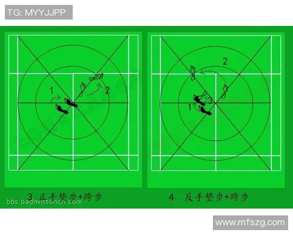 深圳羽毛球队整体压制战术解析与实战应用探讨